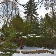 Łazienki - ogródek