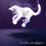 Spadać jak kot na cztery łapy