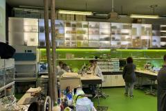Laboratorium biologiczne 2