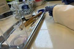 Lekcja w laboratorium