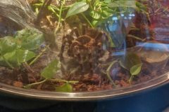 Uczymy się biologii